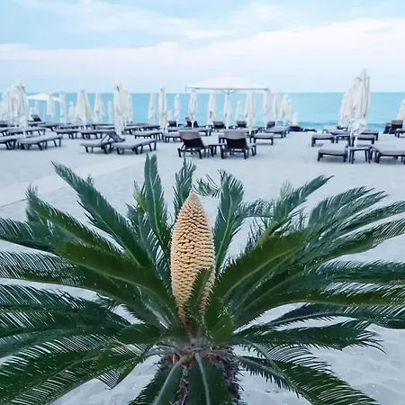 Appartement Panorama *