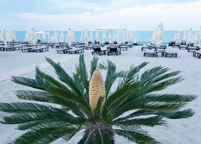 Апартаменты Panorama *